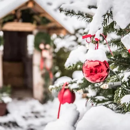 Casa vacanze Park - Alpine Garmisch-Partenkirchen